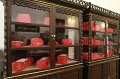 20170428-7 coop-1259